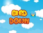 BirdDown – Joc Mega Fun